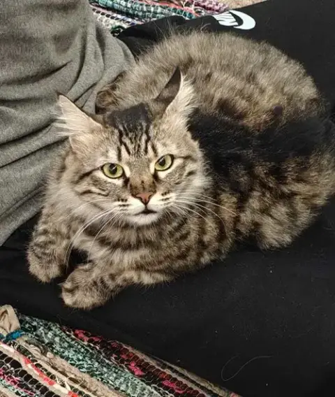 Lili