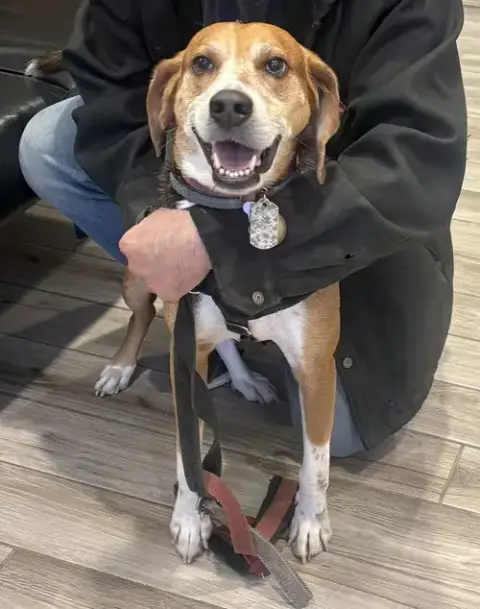 Murphy