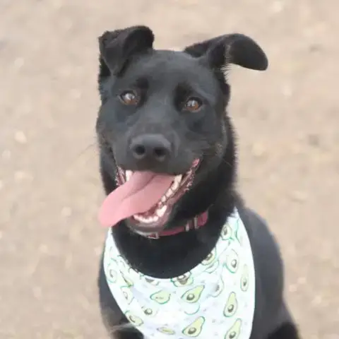 Luna