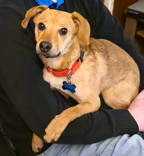 Frank