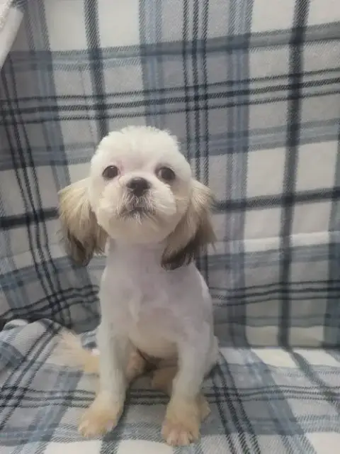 Sabrina photo 4