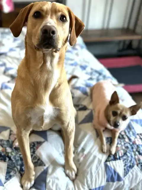 Happy photo 3