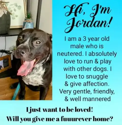 Jordan photo 2