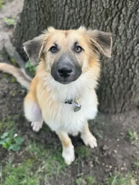 Titus