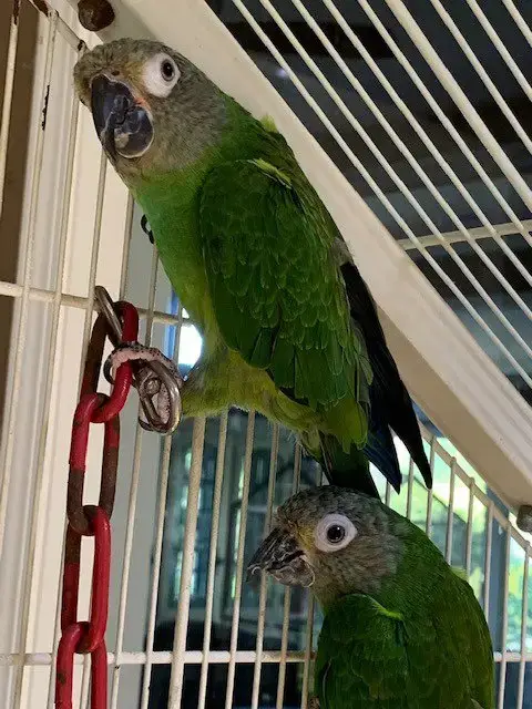 Sage And Jade photo 3