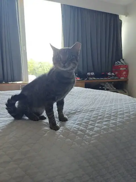 Squeaky