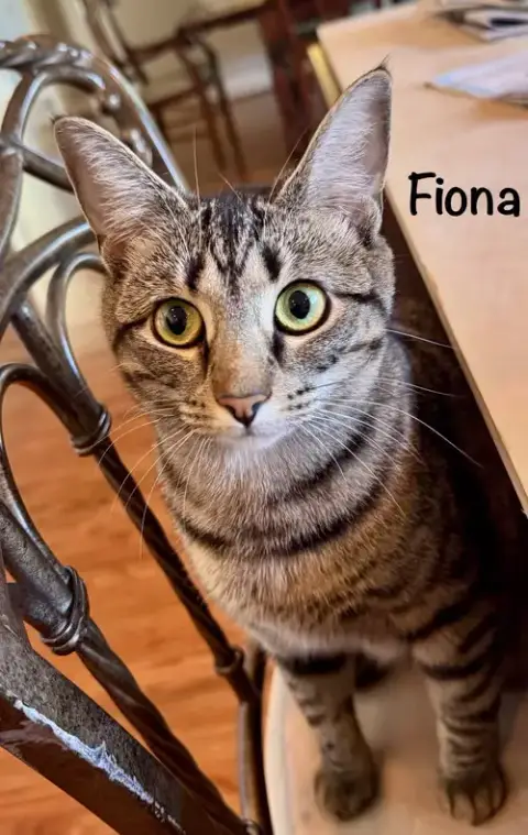 Fiona photo 4
