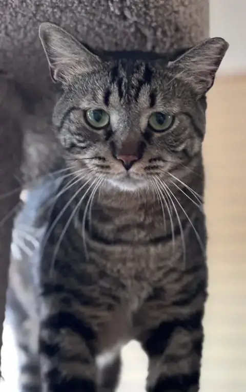 Timmy photo 5