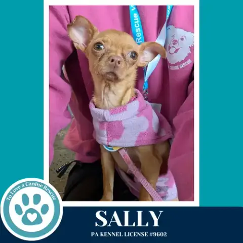 Sally 041826 photo 2