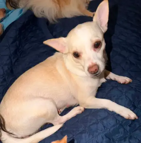 Evie In Tx photo 2