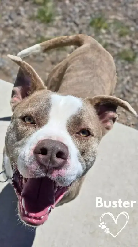 Buster