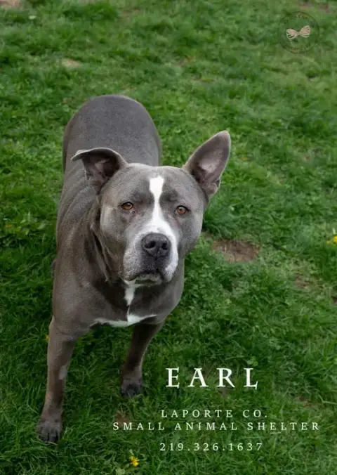 Earl