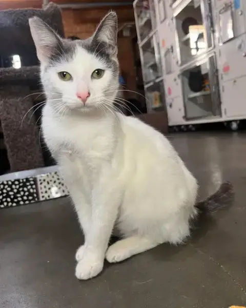 Edwin