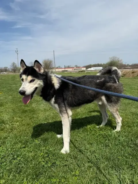 Diego photo 3