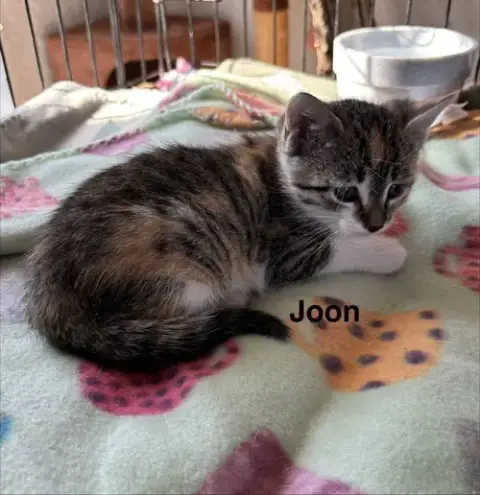 Joon & photo 4