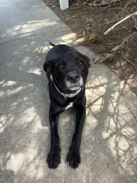 Roxy