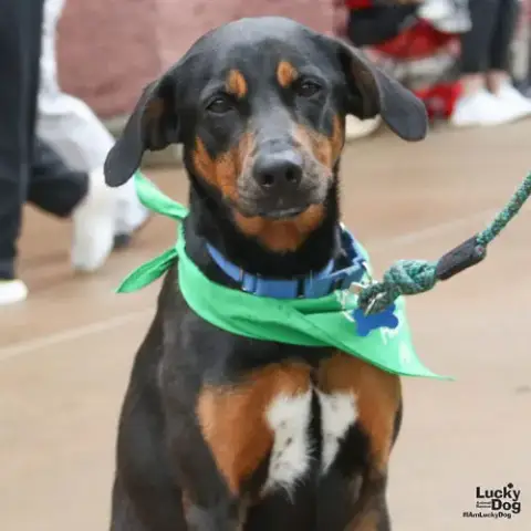 Lilly Ann photo 2