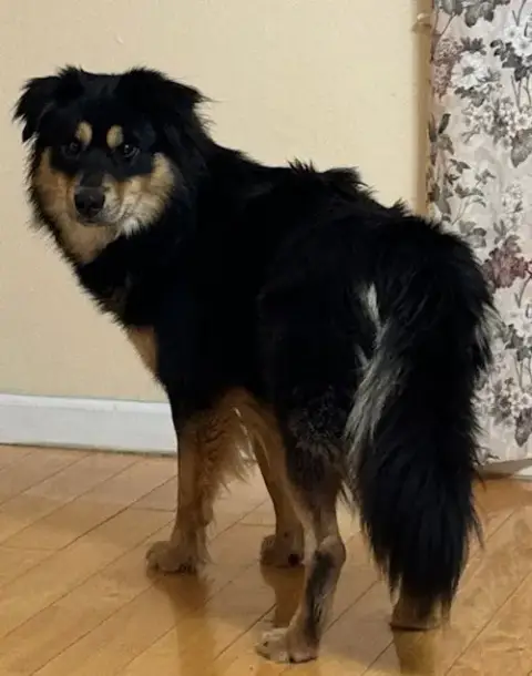 Gunnar