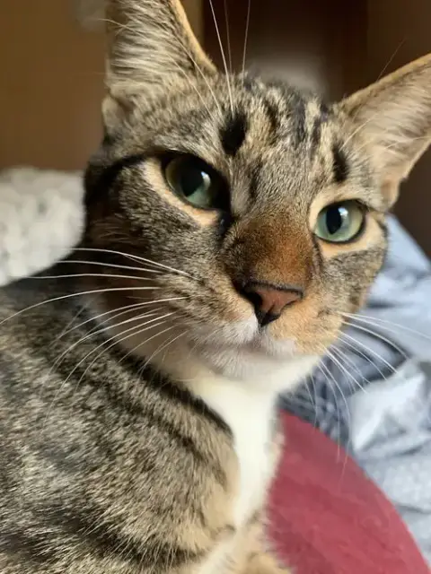 Butters photo 5