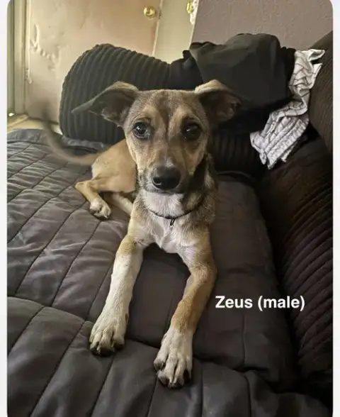 Luna And Zeus photo 3