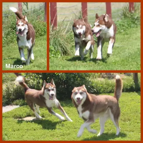 Marco photo 2