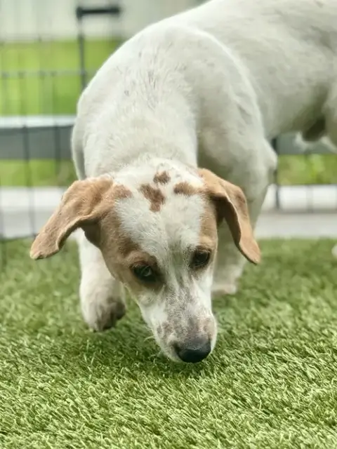 Frank photo 3