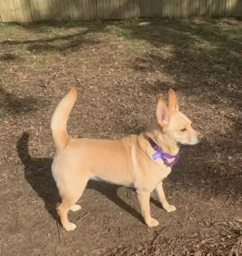Bonnie photo 3