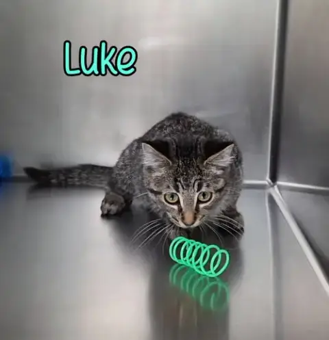 Luke photo 2