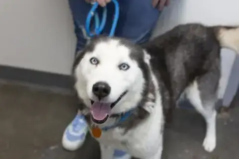 Max