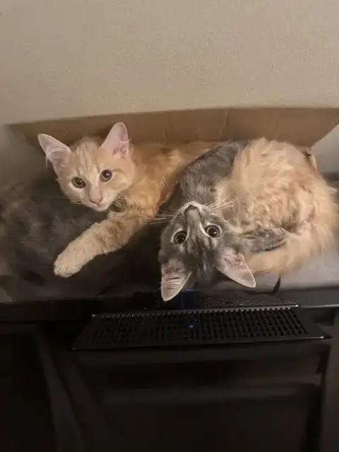 Sunny & Stormy