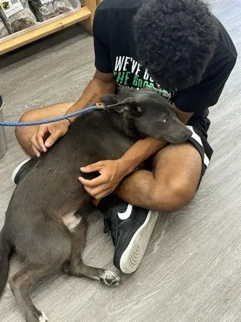 K-Pup