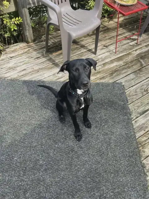 Radar photo 4