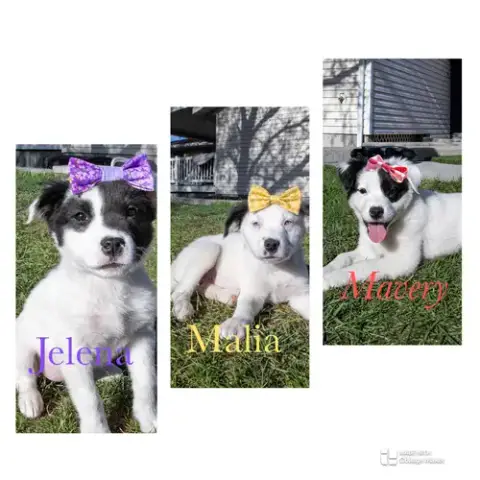 Mavery photo 5