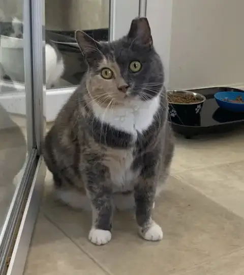 Missy