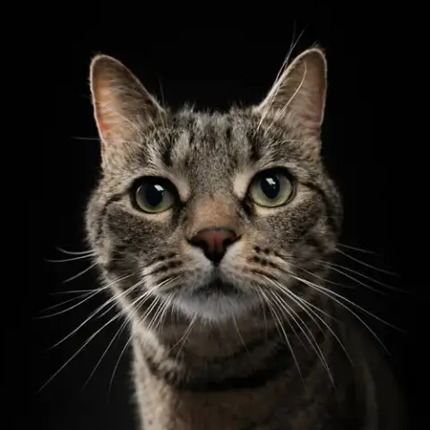 Eleanor