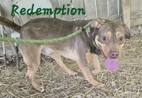 Redemption photo 2