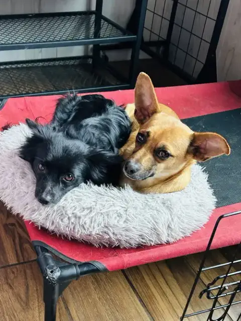Milton And Marvin photo 4