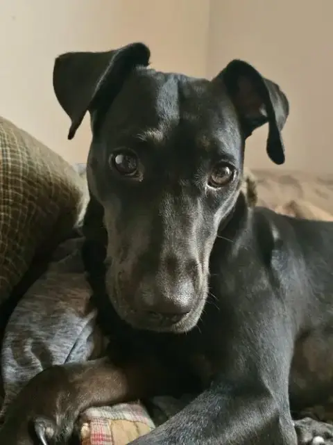 Elsa photo 2