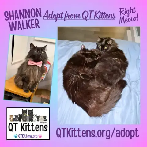 Shannon Walker photo 4