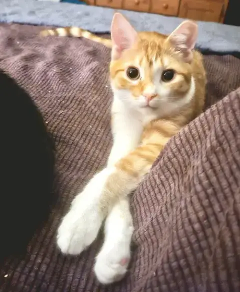 Hermie photo 4