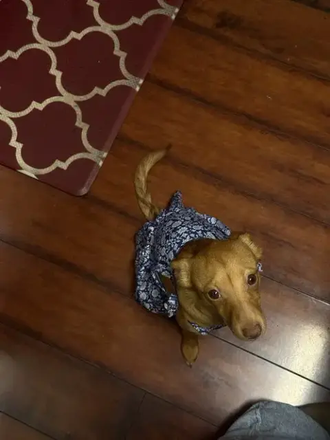 Moonpie photo 4