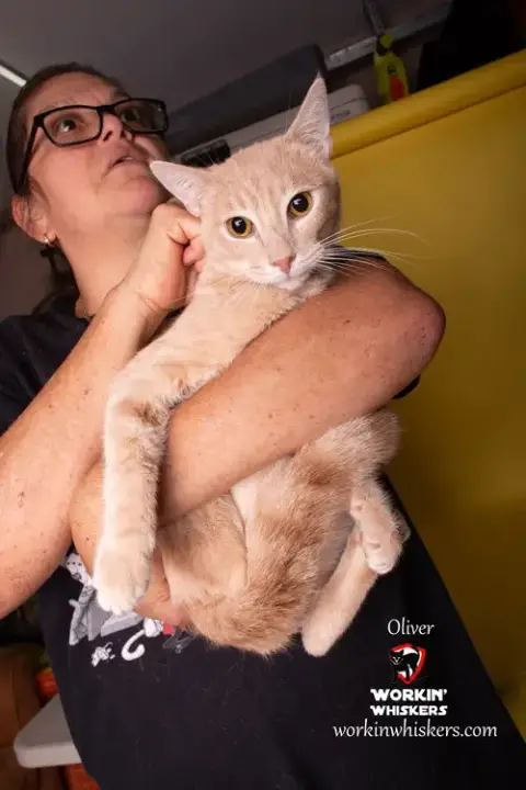 Oliver photo 2