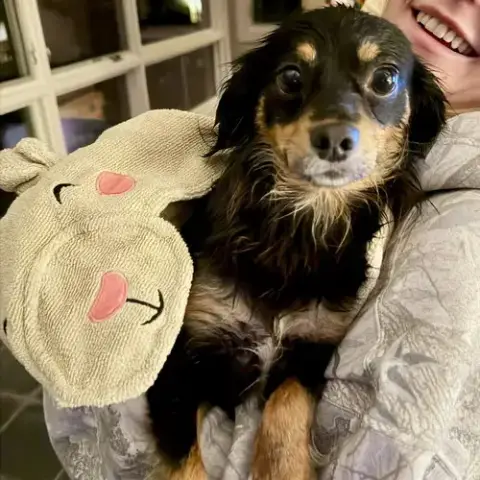 Boomer photo 2