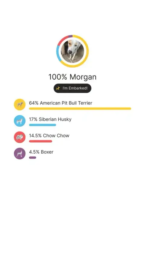 Morgan photo 5
