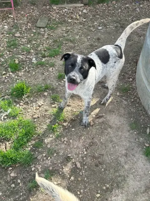 Jj