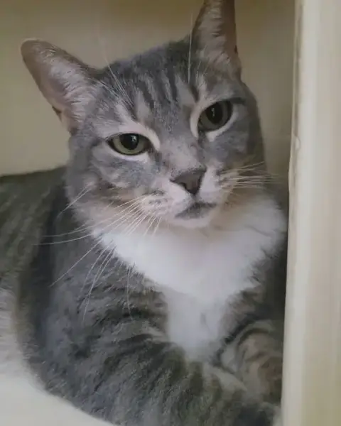 Princes Gigi photo 4