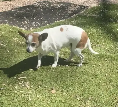 Gabby
