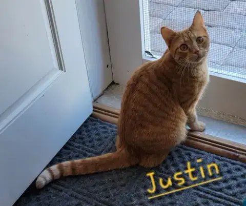 Justin And Stetson photo 3