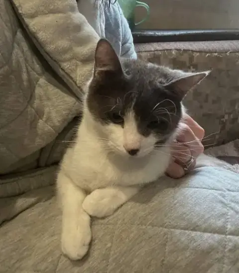 Rosie
