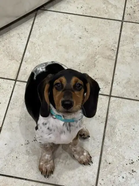 Winnie E